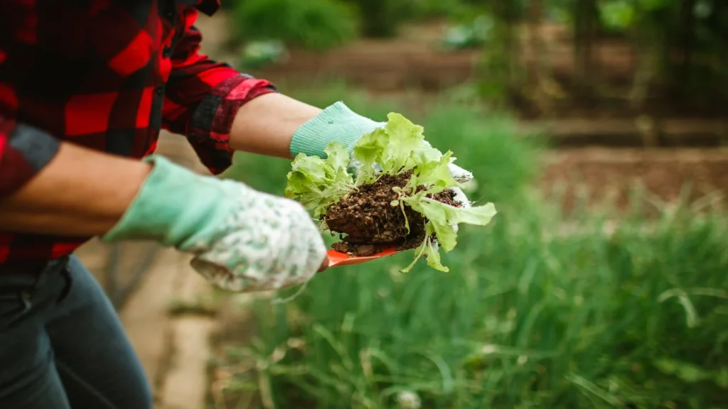 Manfaat Terapi Berkebun Untuk Mengurangi Kecemasan Remaja